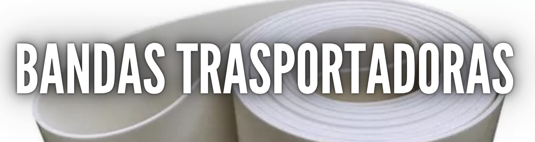 B TRANSPORTADORAS