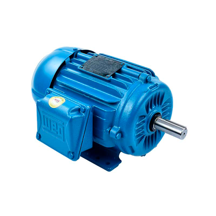 Motor Bifasico WEG