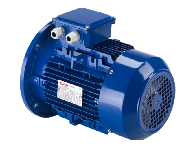 Motor trifasico Elvem
