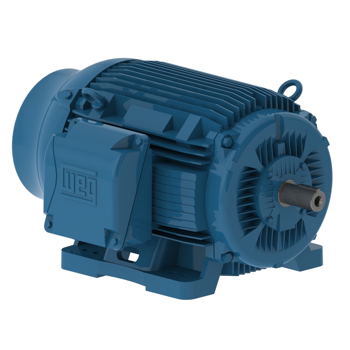 Motor trifasico WEG