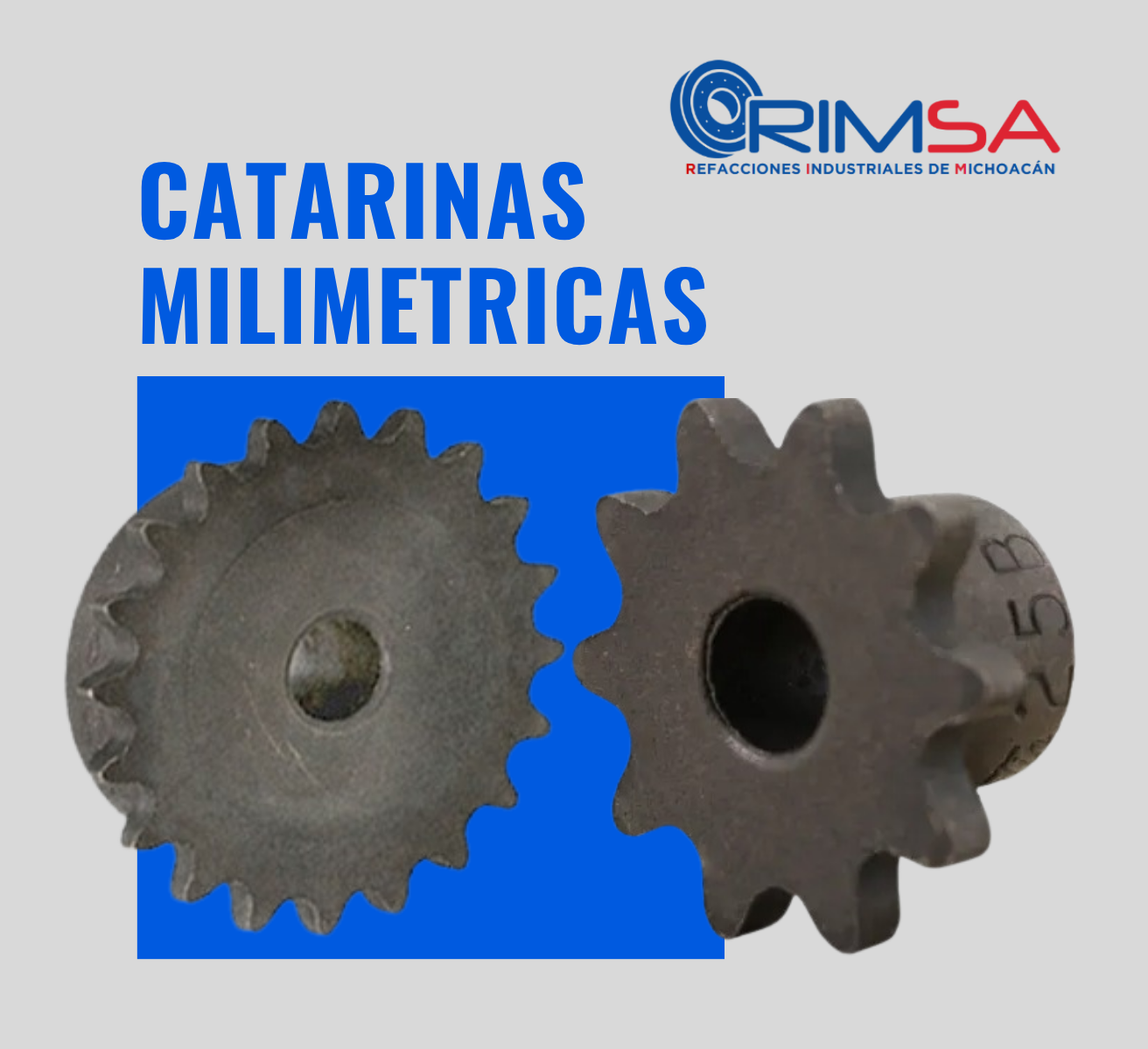 catarinass (1)